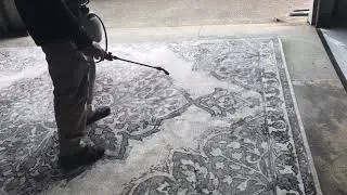 Pre-Treating Rug for Rug Cleaning