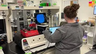 CYTO 2024 -  CytoRecovery - Alex Hyler