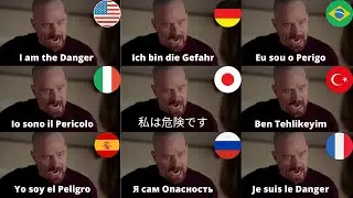 I Am The Danger in 9 Different Langugages | Walter White in World Languages | Breaking Bad S4 EP6