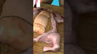 How To Make A Turducken 😮
