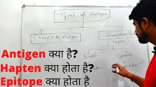 Antigen| एंटीजन | Types of Antigen | Hapten | Epitope | Hindi