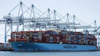 Shipper Maersk Still Expects U-Shaped Recovery, CEO Skou Says