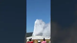 Old Faithful Geyser Eruption! #yellowstone #wyoming #eruption #shorts