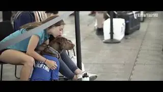 Service Dog's Best Friends