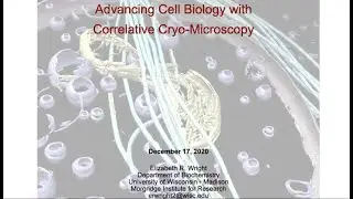 Cryo-CLEM webinar series: No3 - Advancing Cell Biology with Cryo-Correlative Microscopy