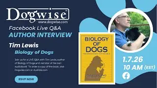 Author Interview with Tim Lewis