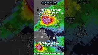 Large hail in Texas busted out windshields and dented cars! More details in the description.