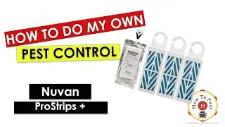 How To Do My Own Pest Control - Nuvan ProStrips +