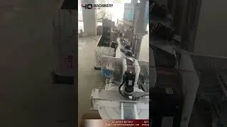 sachet counting machine with sorting system|YQ machinery small bag feeder for cartoning machine