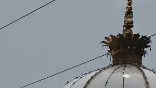 musteri islamic offical live aya gyi hai ❤🥰