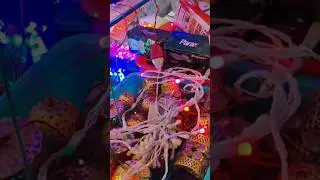 Cheapest Diwali LED Light Wholesale market in Bhopal | Fancy Dewali Decoration Lights |#shortvideo