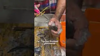 Karimeen cleaning video! Pearlspot fish cleaning #pearlspot #karimeen #fishinspire #fish #fishlover
