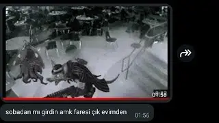 360p top 10 twitch vid 👍