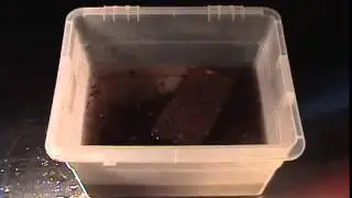 Wonder Soil Brick | Gardeners Edge