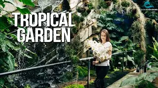 Tropical Garden by Ocean Orchids - Tr&oacute;pusi kert Ocean Orchids, Szlov&eacute;nia