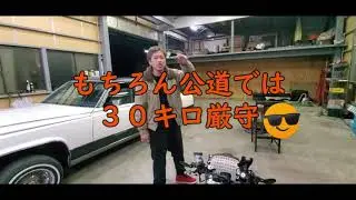 ZOOMER RUCKUS ズーマーDIY 完成度高いんじゃないの!!?