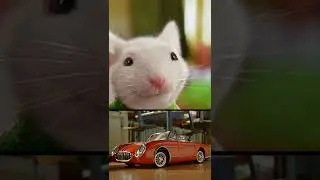 stuart Little cars and cats #shorts #cars