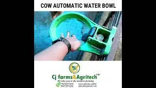 AUTOMATIC WATER BOWL FOR COW |#cowbowl