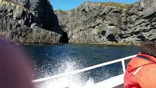 Bay Bulls, Newfoundland