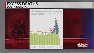 Is COVID-19 to blame for excess deaths?