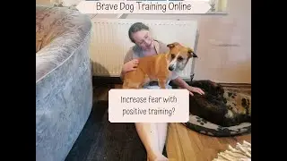 Increase Fear with Positive ONLY Dog Training