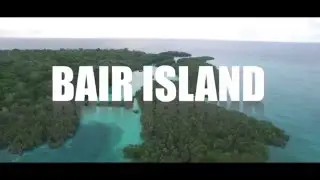 Bair Island Aerial 