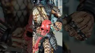 💀 Trophy... The City Hunter Predator. Hot Toys. #hottoys #movie #actionfigures #predator