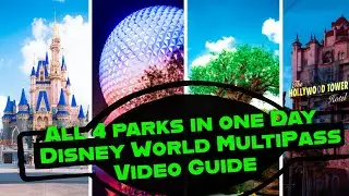 Our Multi-pass Disney World Day- Thrill Rides in All 4 Parks in One Day- park Hopping Guide