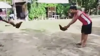 1..2..3.. Run my friend RUNNNNN