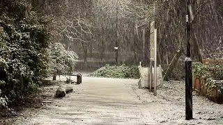 Snow in Central London 2022