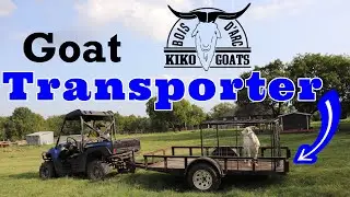 Goat Transporter | Kiko Meat Goats | Last Nannie in Breeding Pasture | Goat Transportation