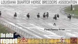 2015 Delta Downs QH Report: Episode 7