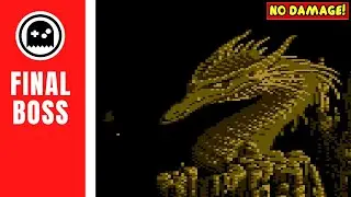 The Immortal (NES) - Final Boss - (No Damage)