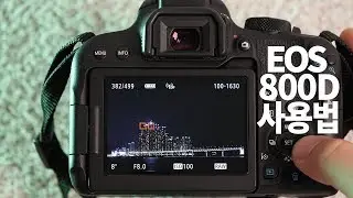 캐논 800D 사용법 이것만 알면 끝! (feat.바로 출사)