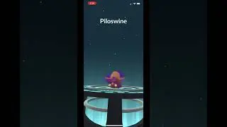 Shadow swinub evolves