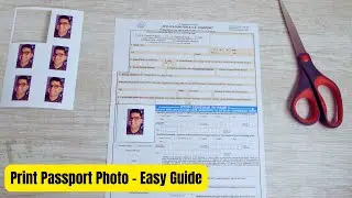 How To Print 6 Passport Photos 4x6 & Fit Onto USA Application [Easy Guide]