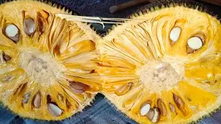 J33 Jackfruit 36brix.01/Mar/2025 8+ to 9 days Ripening Part-2 Tamil