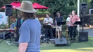 Adelaide Afrobeat Collective @ Global Beat Adelaide 2023!!!
