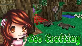 Baby Raccoons and Rose Quartz Ep. 13 | Zoo Crafting | [Modded Minecraft]