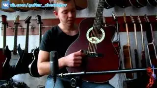 Видео Обзор Гитара Leotone L   17 new от Салона Гитар и Комплектующих Maestro