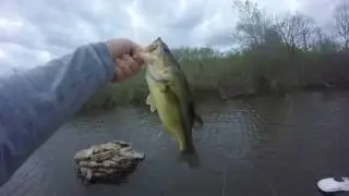 Spawn/Post Spawn Transition and rising water