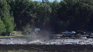 BFE summer bog 2019