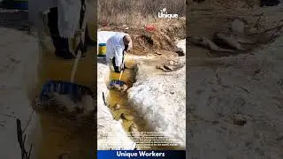 Dead fish collection: cleaning up the environment