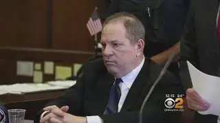 Weinstein Pleads Not Guilty In Court