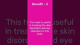 Unlocking the Hidden Powers of Bibhitaki: The Ultimate Health Game-Changer!