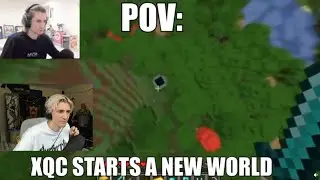 xQc reacts to 