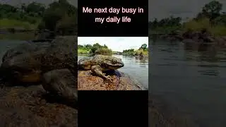 Motivation hit hard&hellip; then left harder #MotivationFail #RealityCheck #FunnyVideo #Relatable #nature