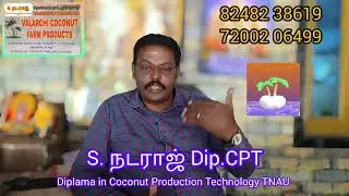 தென்னை இன்று ஒரு தகவல் Valarchi Coconut Farm Products S. நடராஜ் Dip.CPT தென்னை நல ஆலோசகர் 8248238619