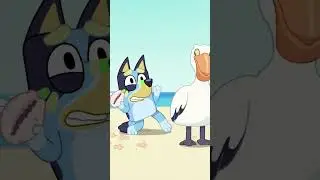 The pelican is giving side eye 👀 #bluey #shorts