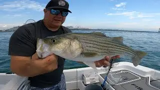 INSHORE SLAM.. Catching Stripers, Bluefish & Tog at the OC Inlet